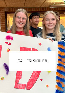 Galleri Skolen - Praktisk