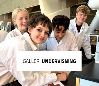 Galleri Undervisning - Praktisk